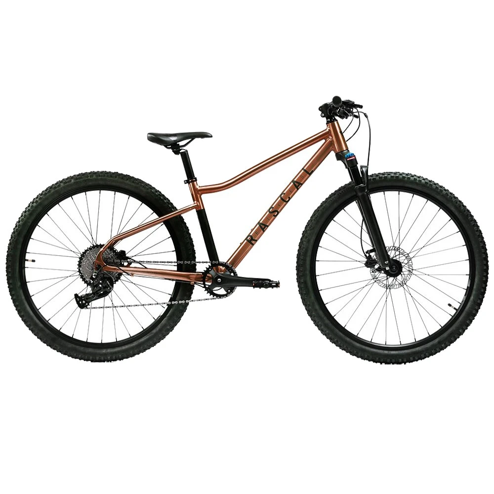 Rascal Wild 29 - 29" Youth Mountain Bike - 2023 - Brass 1 Rascal Wild 29 - 29" Youth Mountain Bike - 2023 - Brass