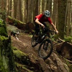 Bontrager Line Elite 30 TLR 27.5 Inch Front Wheel - 6-Bolt - 15x110mm Boost -Bike Sale Shop 590835 bontrager line elite 30 tlr 275 boost bsp 852395