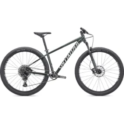 Specialized ROCKHOPPER EXPERT - 29" Mountainbike - 2023 - Gloss Oak Green Metallic / Metallic White Silver