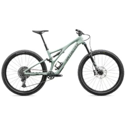 Specialized STUMPJUMPER COMP - 29" Carbon Mountainbike - 2023 - Satin White Sage / Deep Lake