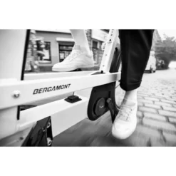 Bergamont E-CARGOVILLE LJ EXPERT - Cargo E-Bike - 2022 - Bamboo -Bike Sale Shop bergamont e cargoville lj 01 1106469 1