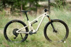 Yeti Cycles SB120 T1 - 29" Carbon Mountainbike - 2023 - Dust -Bike Sale Shop dsc03785 1437238