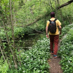 Exped Stormrunner 15 Backpack - Dark Lava -Bike Sale Shop exped stormrunner 2 1218047