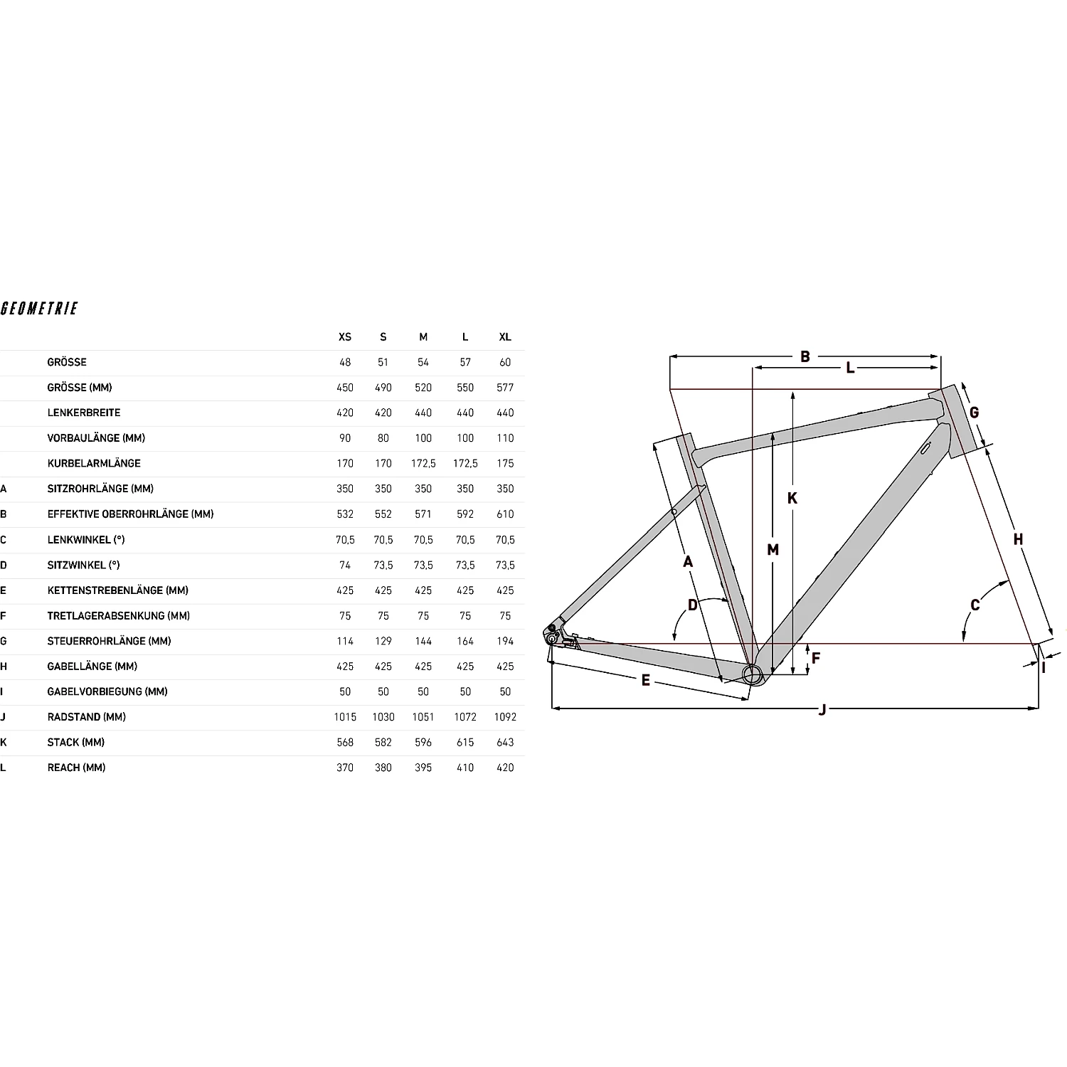 FOCUS ATLAS 6.6 EQP - Fitnessbike - 2023 - Slate Grey 2 FOCUS ATLAS 6.6 EQP - Fitnessbike - 2023 - Slate Grey - Image 2