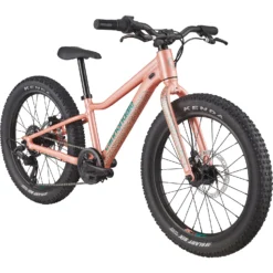 Cannondale KIDS TRAIL PLUS - 20" Kids Bike - 2022 - Salmon -Bike Sale Shop kids trail plus 20 salmon 2 1256184