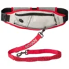 Nathan Sports K9 Runner's Waistbelt With Leash - Large - Vapor Blue/Lollipop