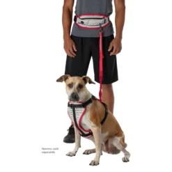 Nathan Sports K9 Runner's Waistbelt With Leash - Large - Vapor Blue/Lollipop -Bike Sale Shop nathan sports k9 runners large waistbelt with leash vapor blue lollipop 5 1028656