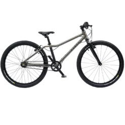 Rascal 24 Nexus 3-Speed - 24" Children's Bike - 2022 - Titan